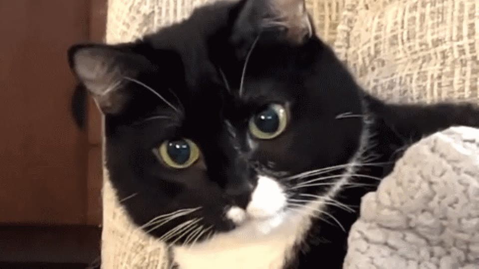Video frame for A Unique Diagnosis