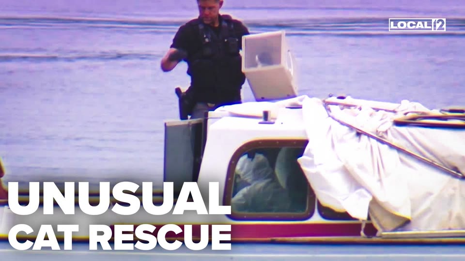 Video frame for An Unbelievable Discovery On The Water