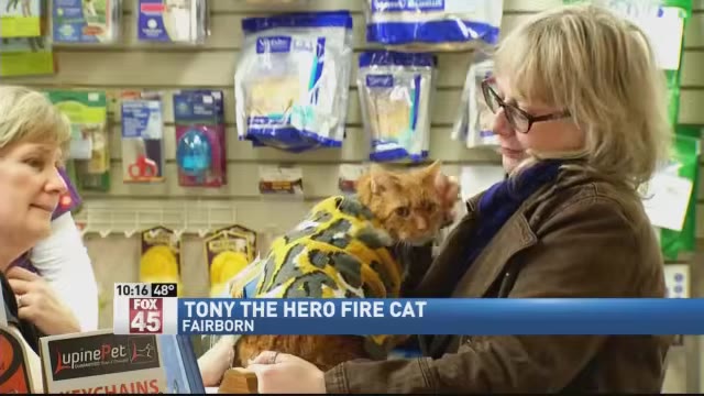 A woman with glasses and blonde hair holds an orange tabby cat wearing a yellow and grey patterned sweater inside a pet store.