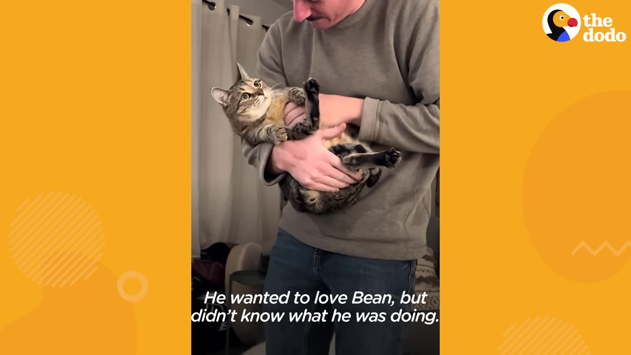 A man awkwardly cradles a tabby cat in his arms like a baby, while the cat looks up with wide, uncertain eyes.