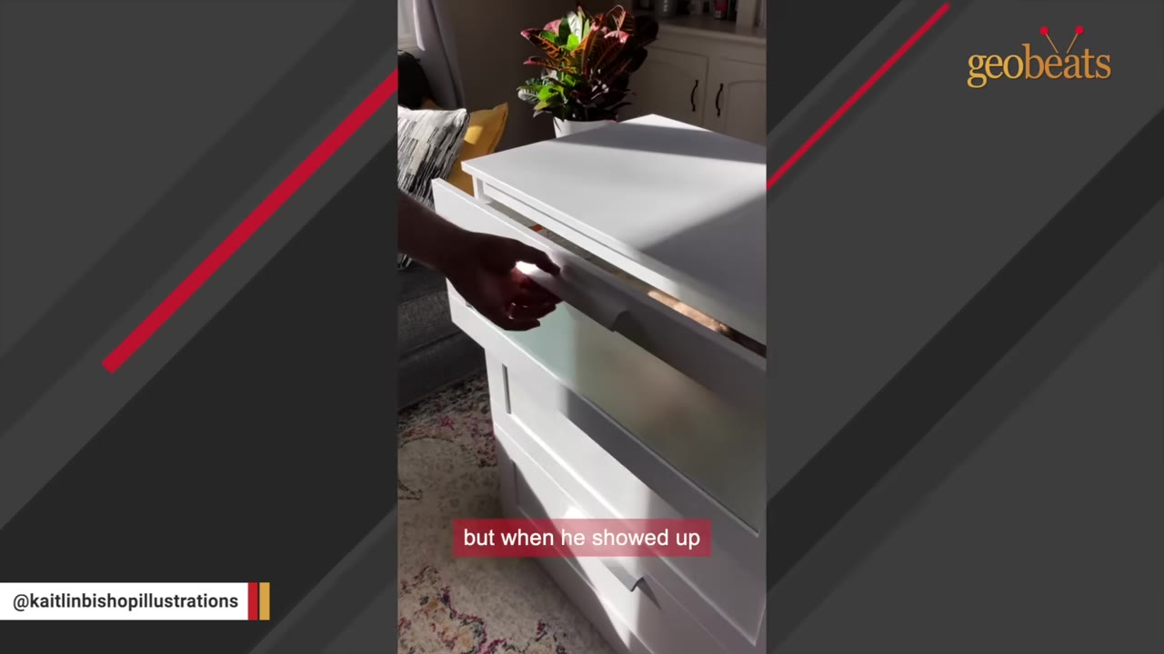 A hand opening a white dresser drawer to reveal a cat peeking out from inside.