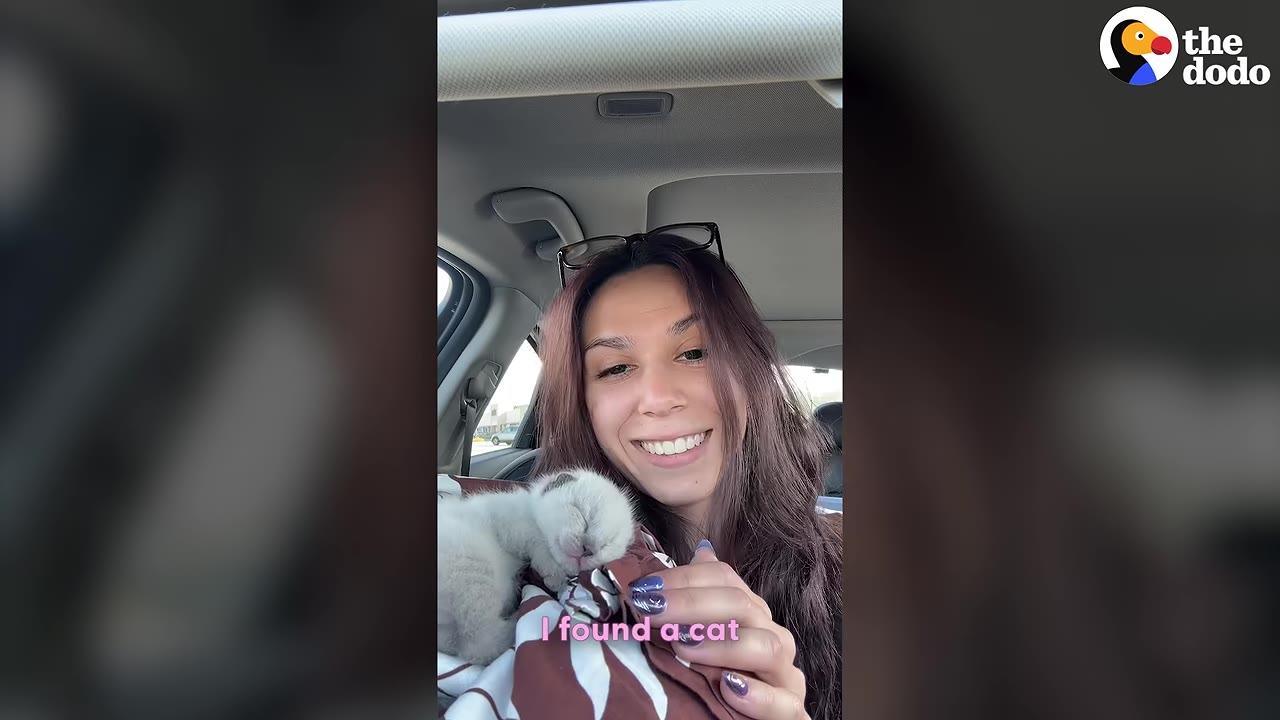 A smiling woman inside a car holds a tiny, sleeping white kitten wrapped in a brown and white patterned cloth.