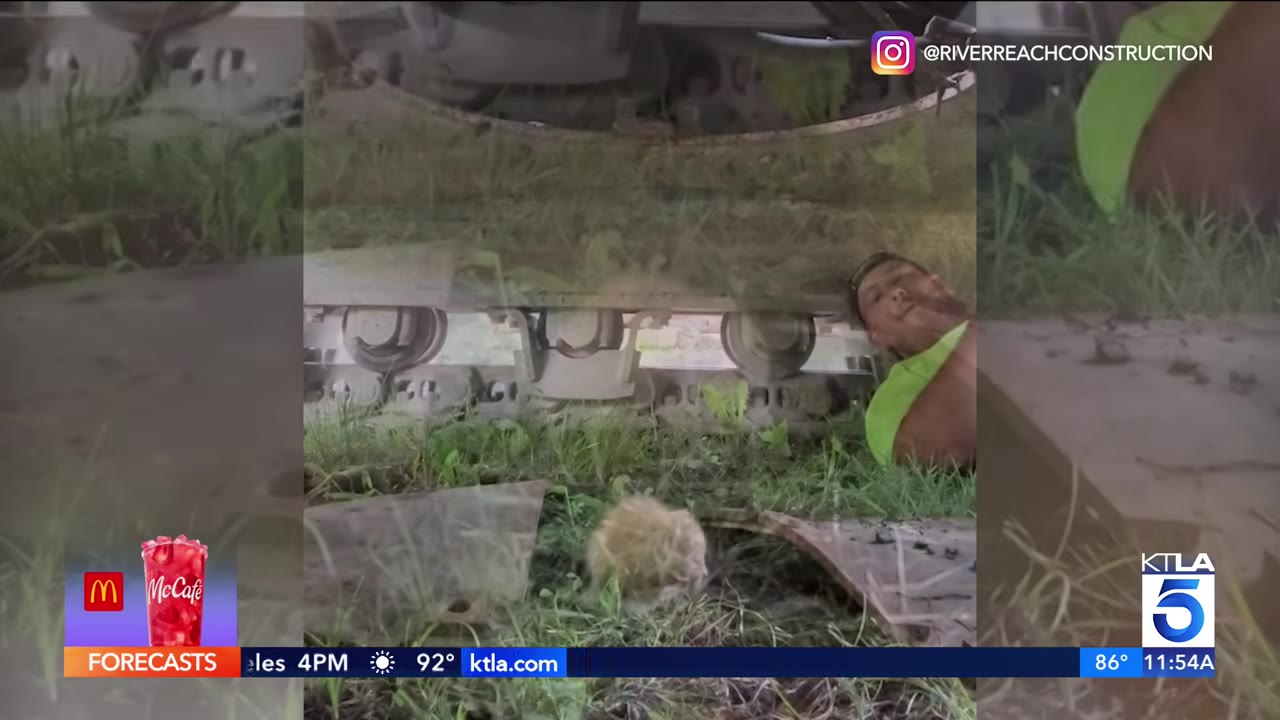 A construction worker in a high-visibility shirt lies on the grass, looking under the metal tracks of heavy machinery at a small, fluffy animal.