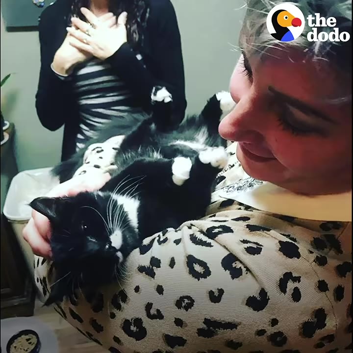 A black and white tuxedo cat lies on its back in the arms of a smiling woman wearing a leopard-print sweater, while another person stands in the background with their hands over their heart.