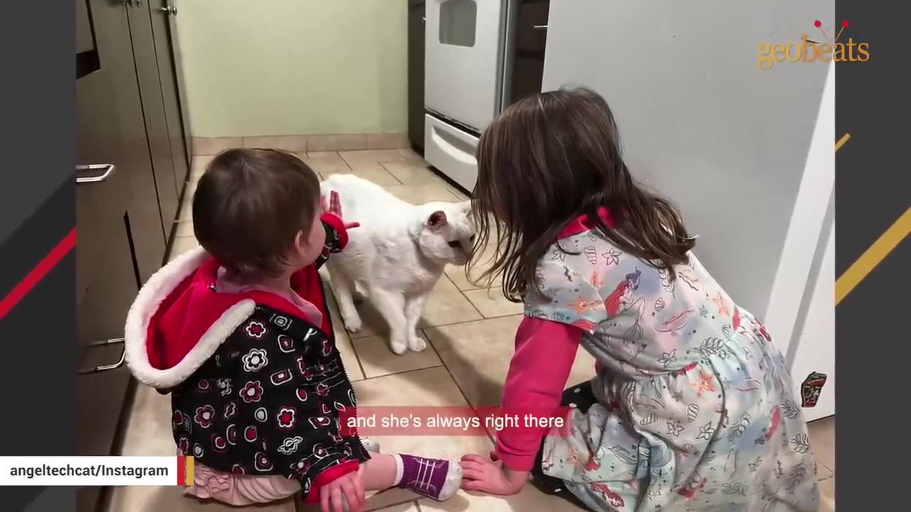 A white cat stands on a tiled kitchen floor, interacting with two young children who are sitting on the floor facing her.