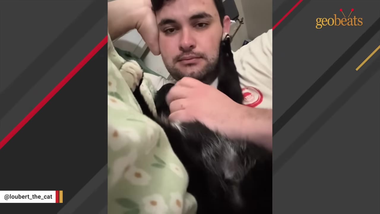 A man lies down while petting a black and white cat resting on his chest.