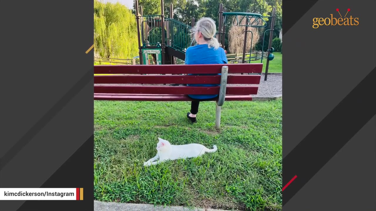 A woman with blonde hair tied back sits on a red park bench facing away from the camera, while a white cat lies on the green grass below the bench.