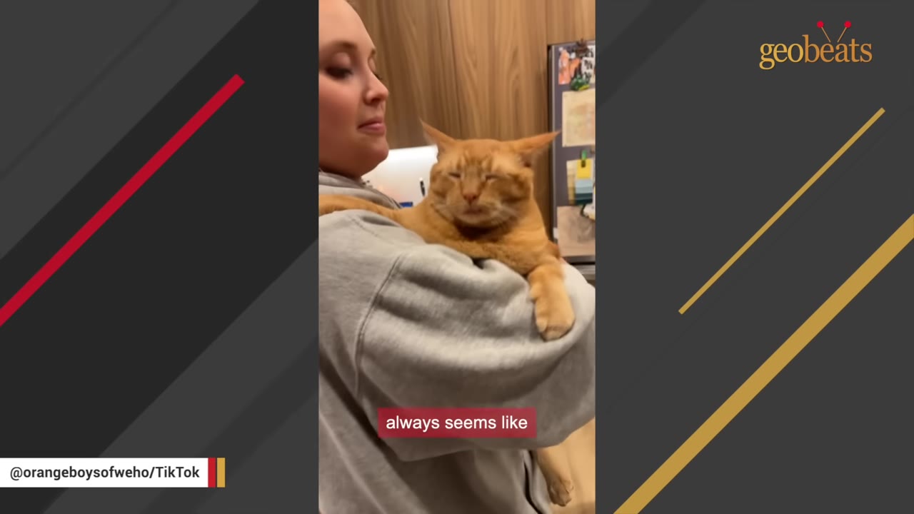 An orange cat with its eyes closed is held in the arms of a woman wearing a grey sweatshirt.