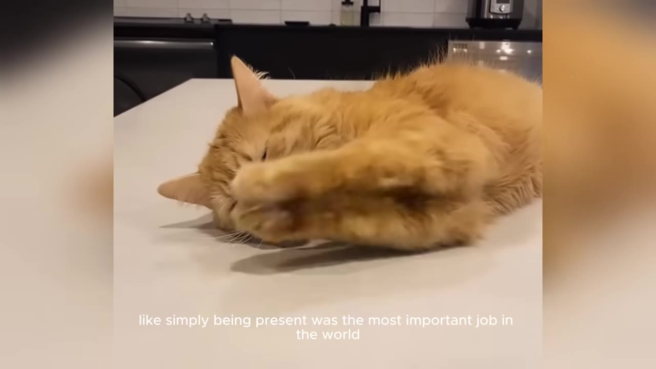 An orange cat lies on its side on a white countertop, covering its face with its paws.