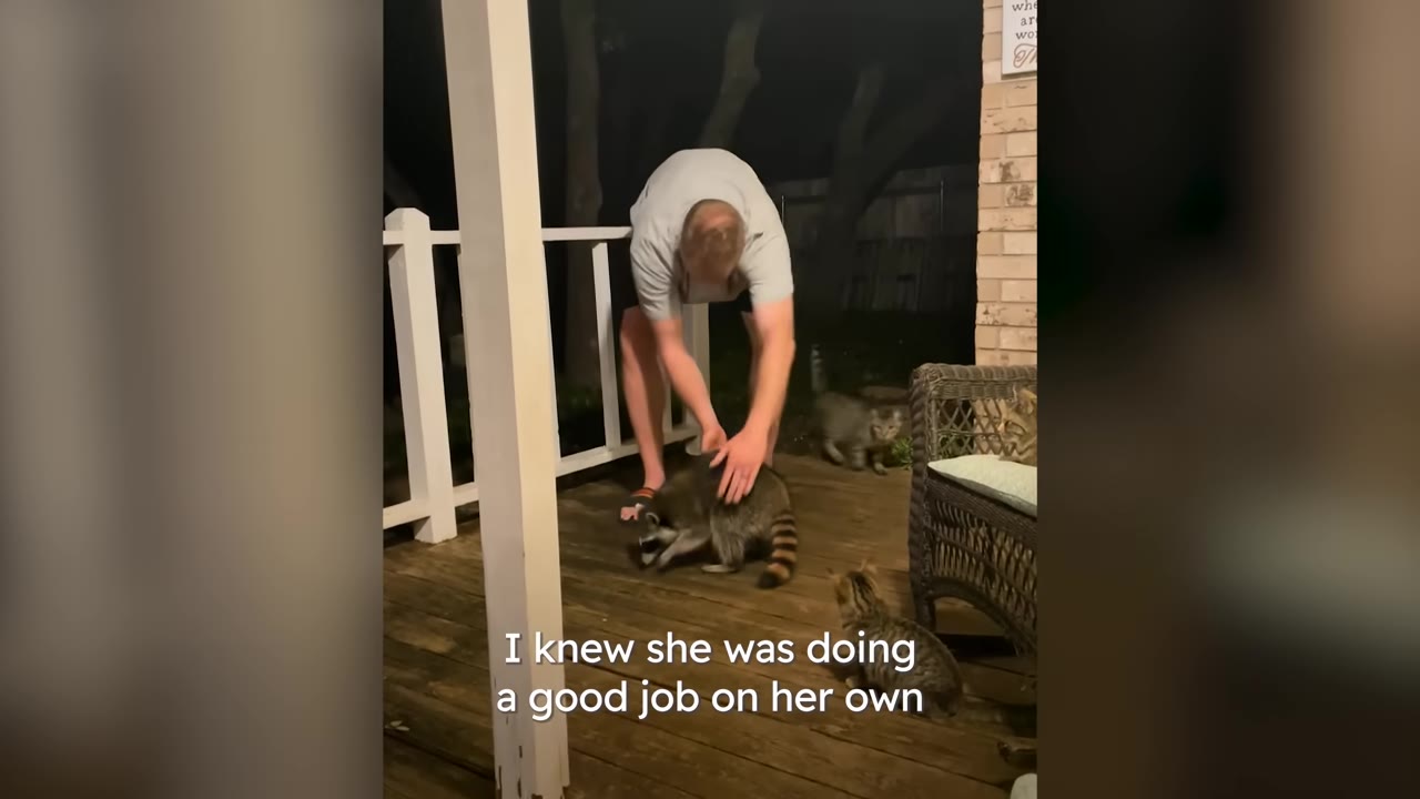 A man on a wooden porch at night bends down to pet a raccoon, while several cats sit nearby.