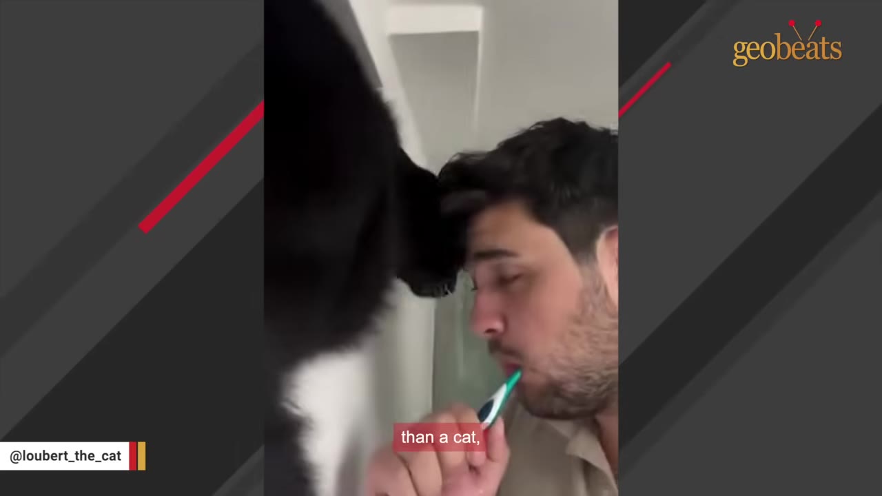 A man brushing his teeth with a green toothbrush while a black cat nuzzles his forehead.