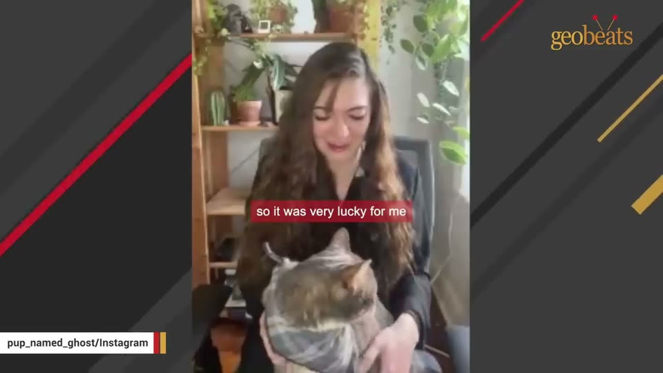 Video frame for A Feline With A Canine Soul