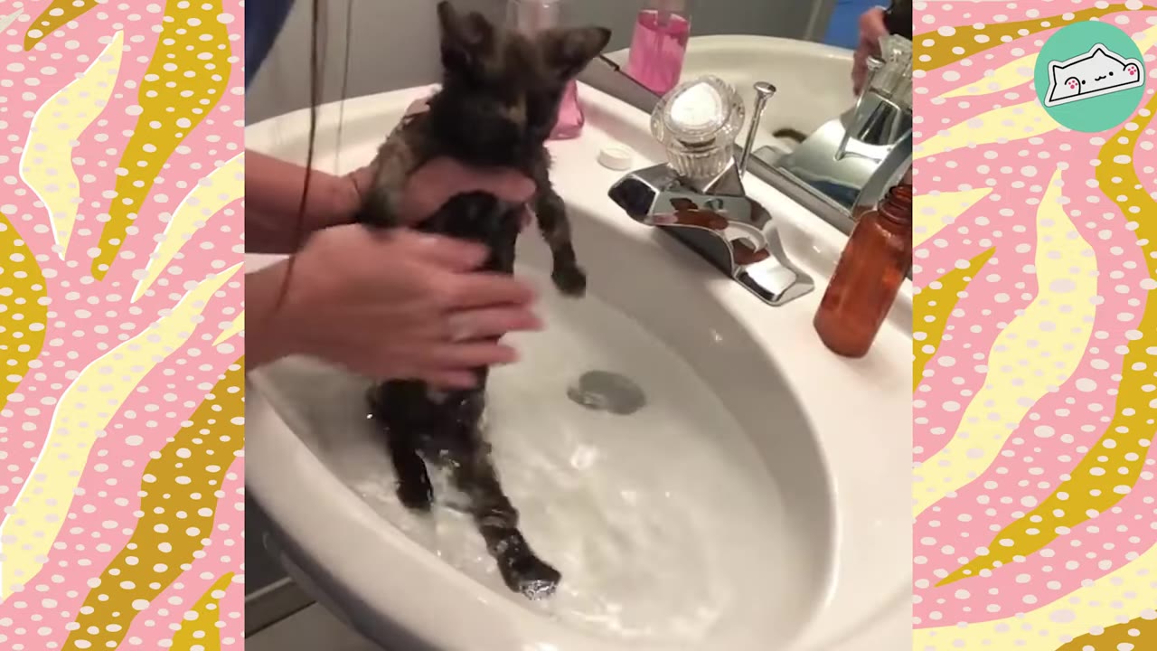 A tiny, dark-colored kitten is gently held and bathed in a white bathroom sink by a person's hands.