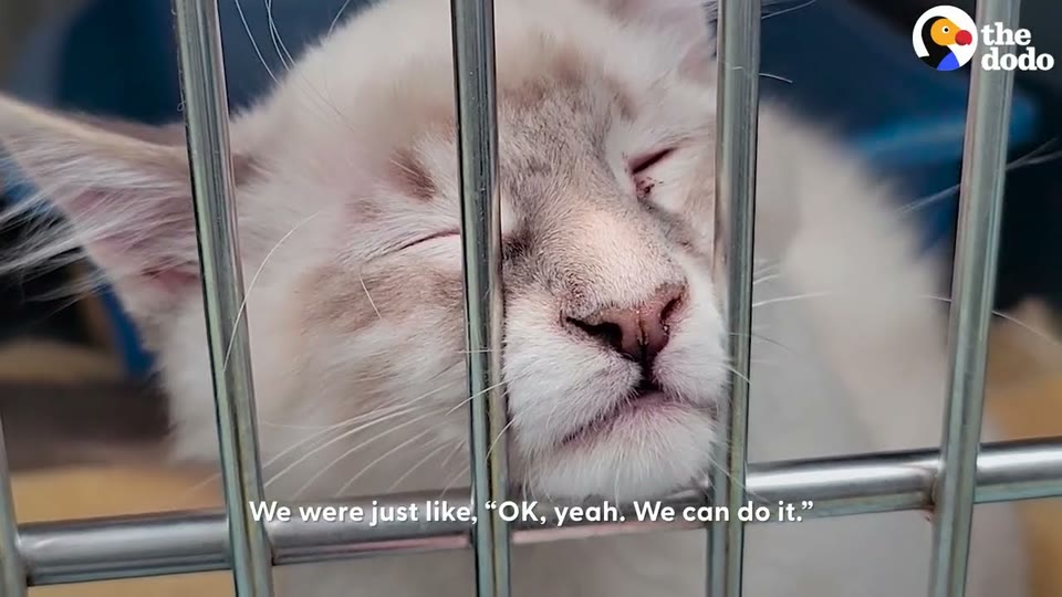 Video frame for A Heartbreaking Coping Mechanism