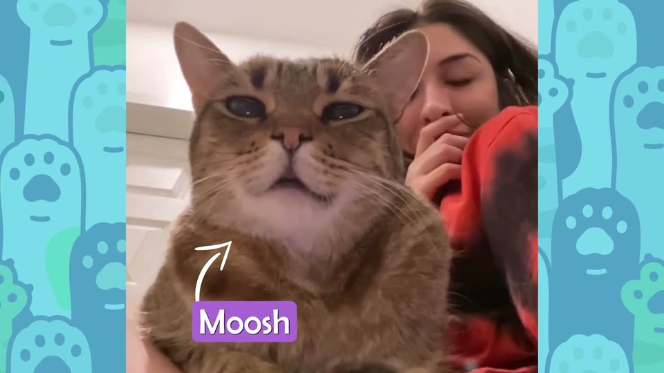 Video frame for A Heartbreaking Vet Visit