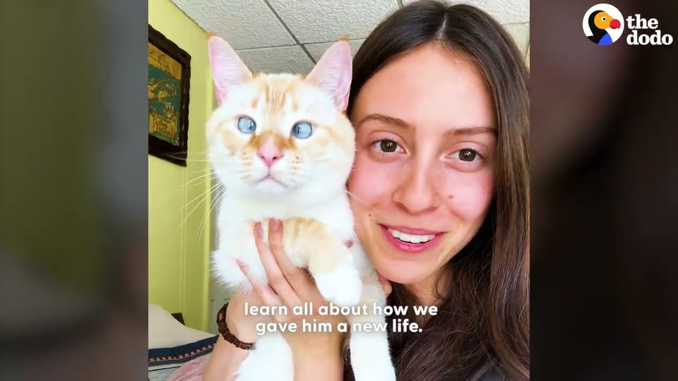 Video frame for A Life-Changing Phone Call