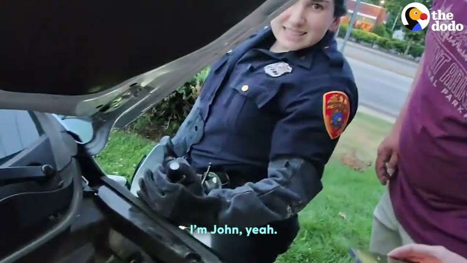 Video frame for A Massive Response
