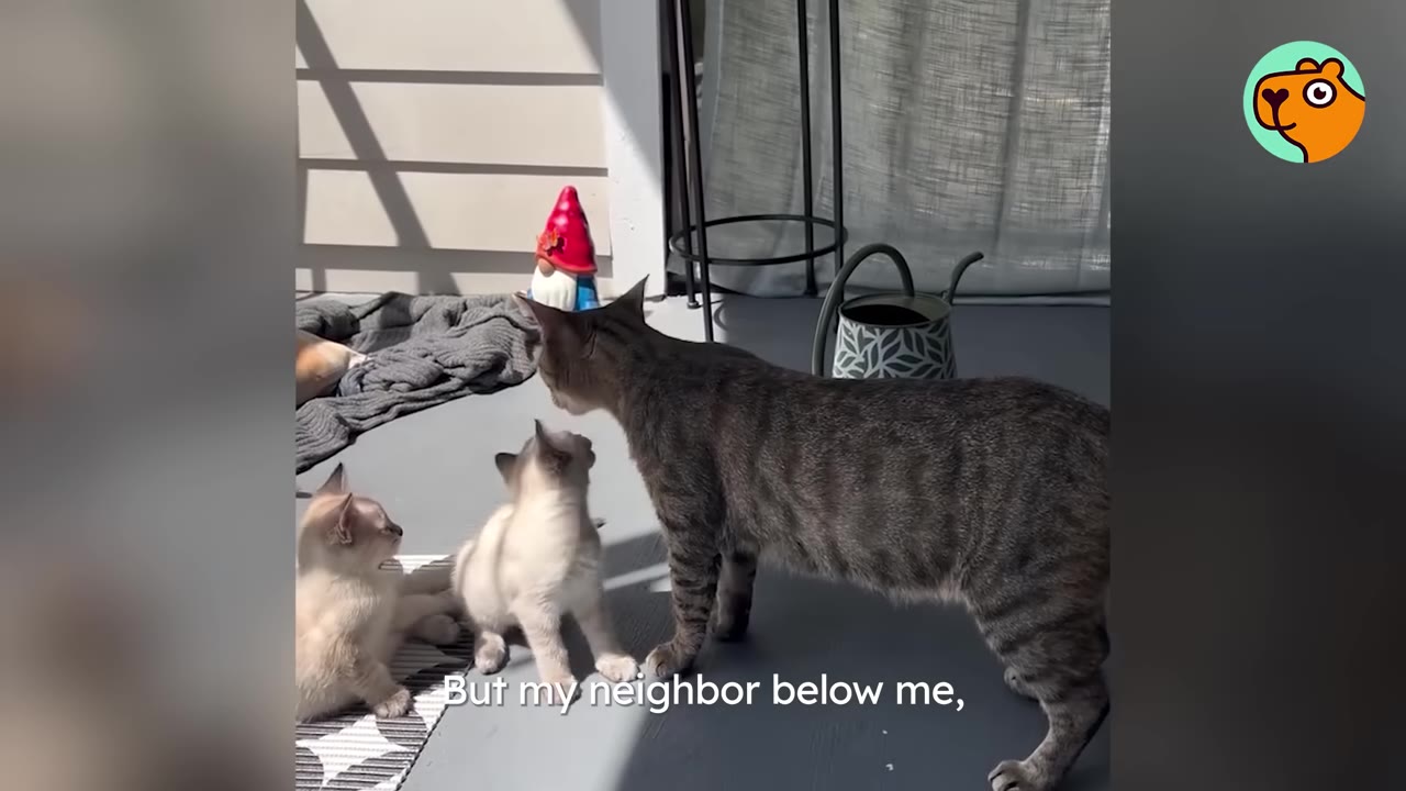 A tabby cat stands on a porch next to two small light-colored kittens near a garden gnome and a watering can.
