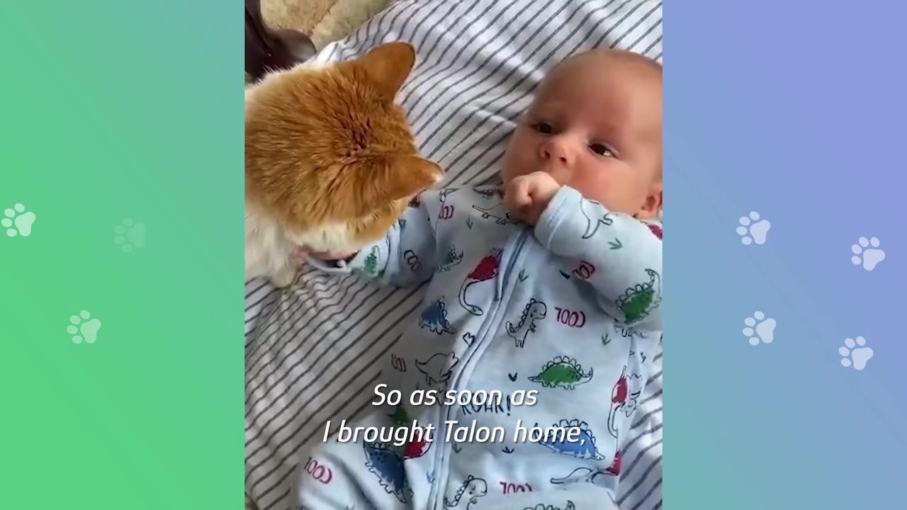 An orange and white cat gently sniffs a newborn baby wearing a blue dinosaur-patterned onesie lying on a striped blanket.
