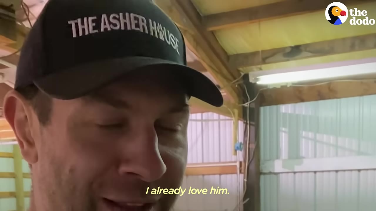 A close-up of a smiling man wearing a black baseball cap with 'THE ASHER HOUSE' printed on it, with the subtitle 'I already love him.' on the screen.