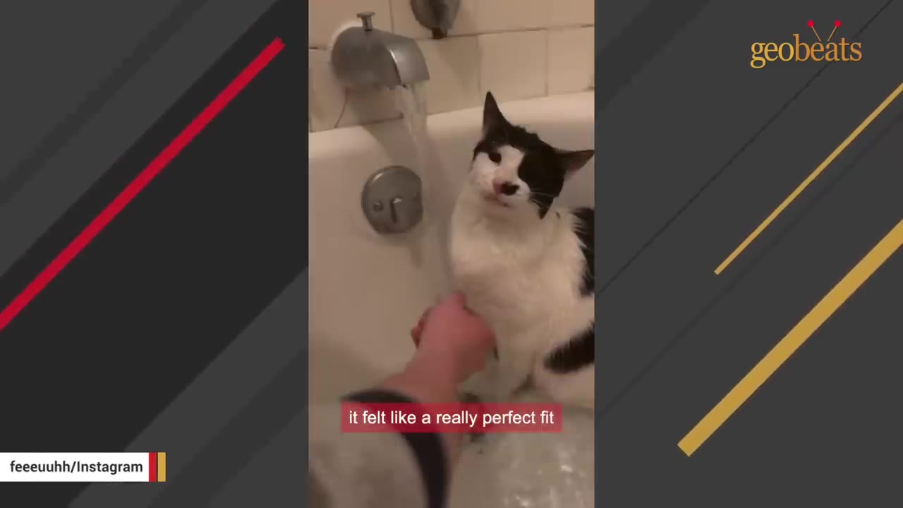 A black and white cat sits in a bathtub with running water as a person's hand gently pets it.