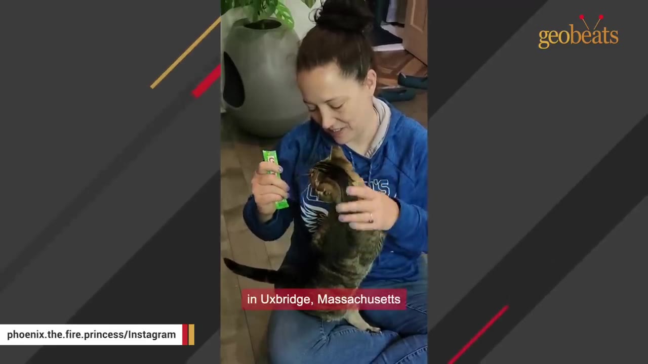 A woman sitting on the floor smiles as she feeds a tabby cat a treat from a green tube.