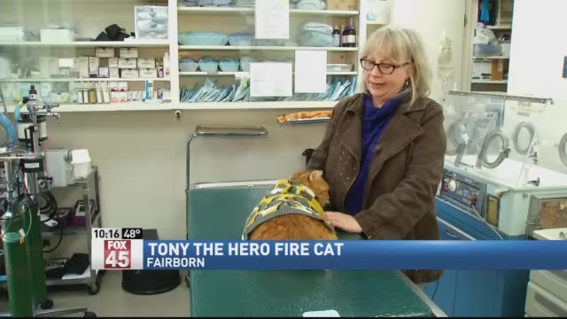 A woman with glasses and a brown jacket stands next to an orange cat wearing a yellow and grey patterned sweater on a green examination table in a veterinary clinic.