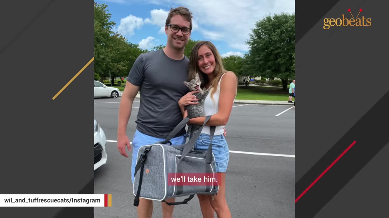 A smiling young man and woman stand together in a parking lot, with the woman holding a small grey tabby kitten who has its mouth open, while a grey pet carrier hangs from their shoulders.