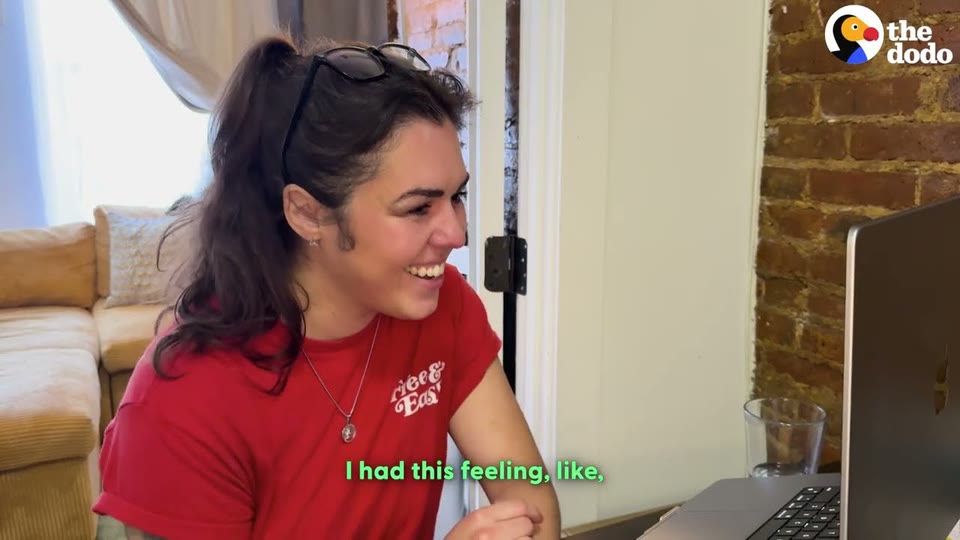 Video frame for A Suspicious Scent