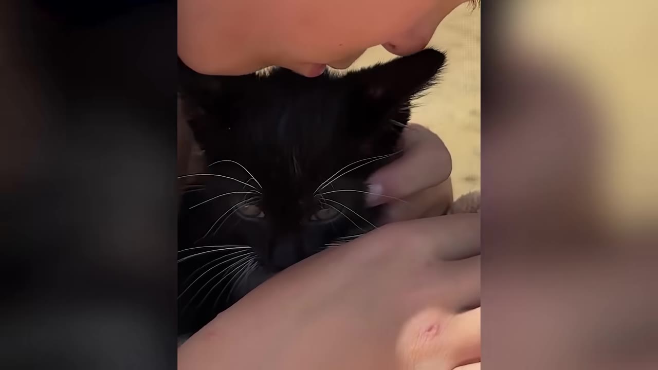 A close-up shot of a young boy gently cuddling and kissing a small black kitten with white whiskers.