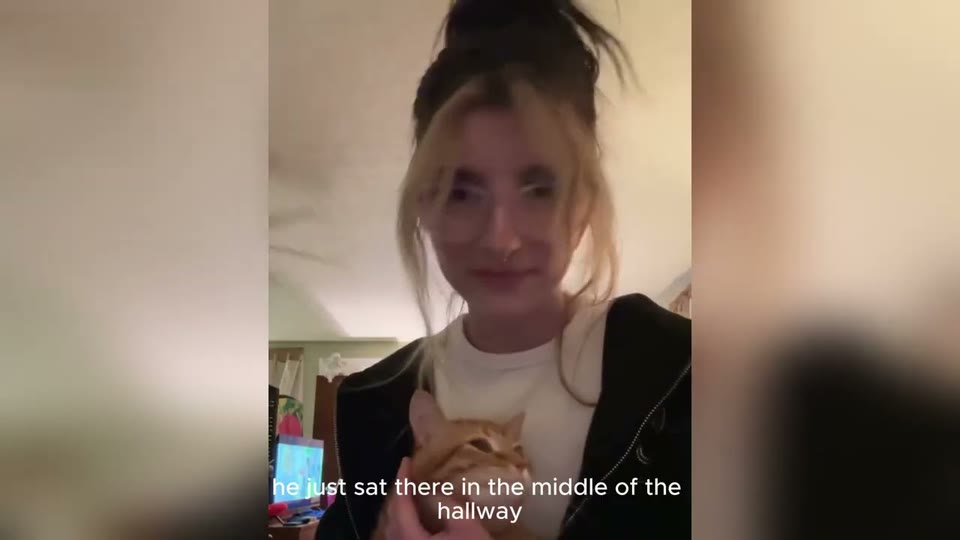 Video frame for An Unexpected Pause
