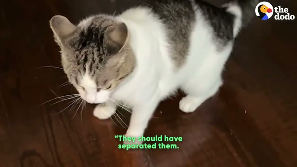 Video frame for Choosing Her Family