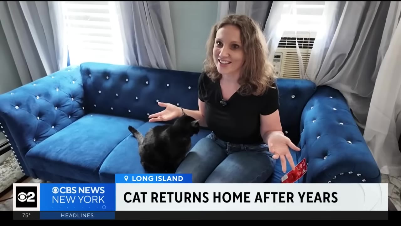 A woman with blonde curly hair sits on a blue tufted sofa next to a black cat, gesturing with her hands open as she speaks.