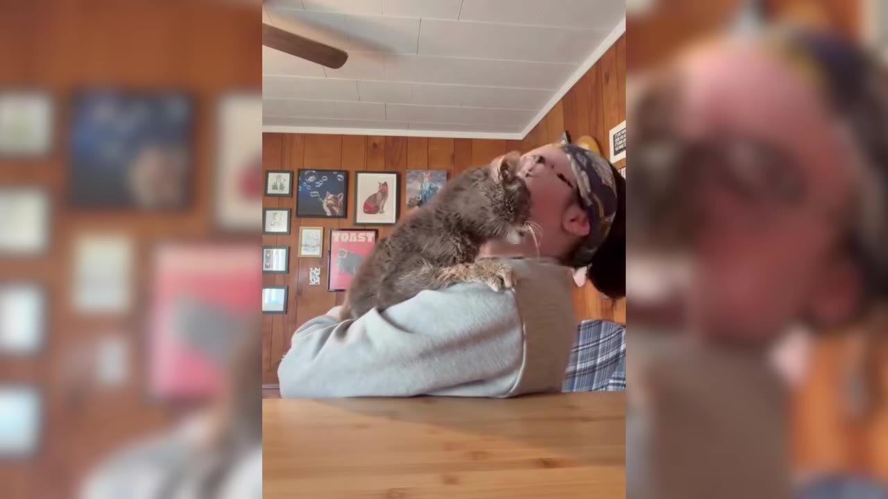 A person wearing glasses and a headband holding a fluffy brown cat close to their face in a room with wood-paneled walls and framed pictures.