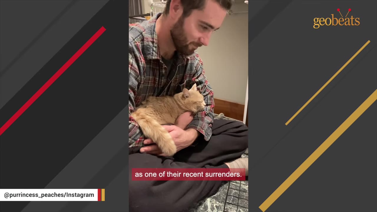 A man in a plaid shirt sits cross-legged on the floor, gently cradling a light orange cat in his arms.