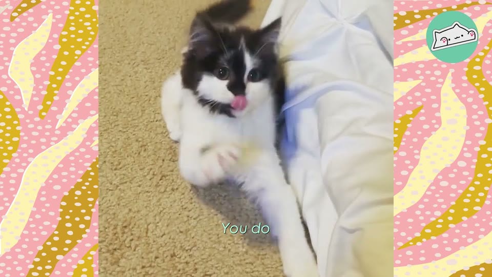 Video frame for Love At First Sight