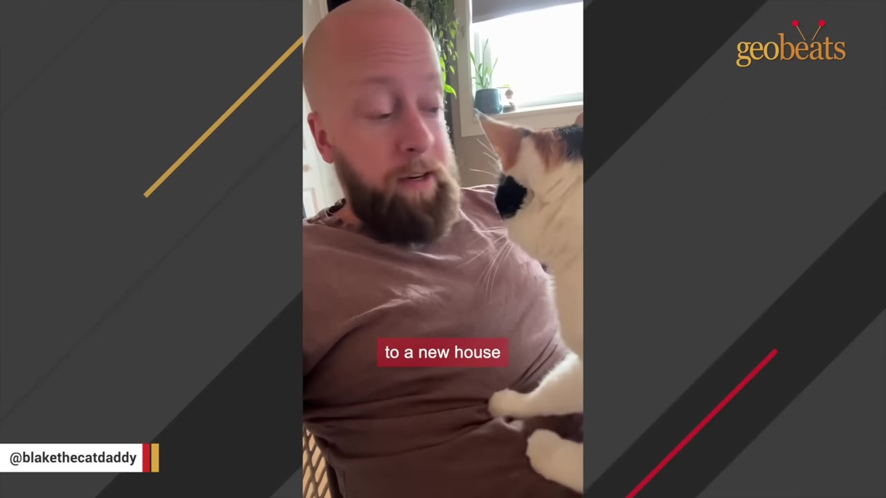 A bald man with a beard looks down at a calico cat sitting on his lap inside a house.