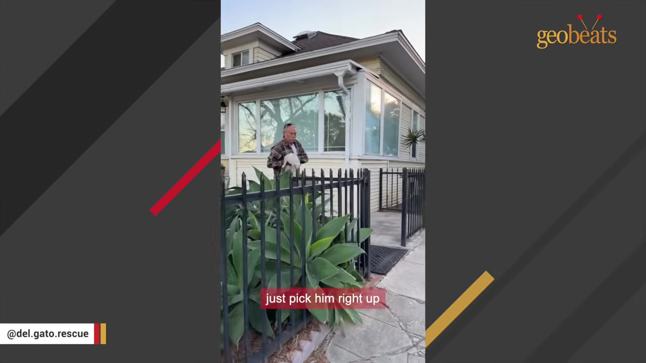 A man in a plaid shirt stands outside a house holding a white cat in his arms behind a black metal fence.