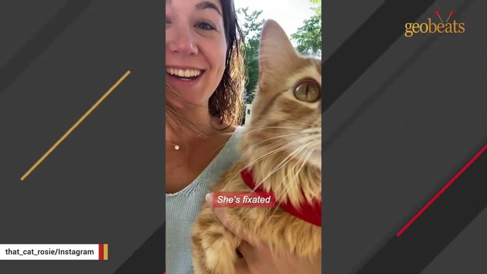 Video frame for Perfect Timing for a New Best Friend