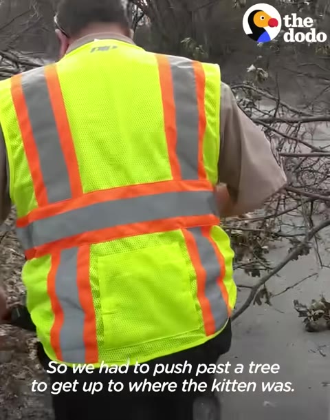A rescuer wearing a bright yellow and orange safety vest walks past fallen tree branches on a dirt path.