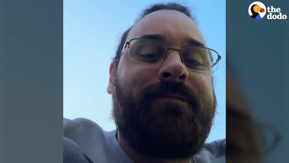 Video frame for Signs of a Hard Life