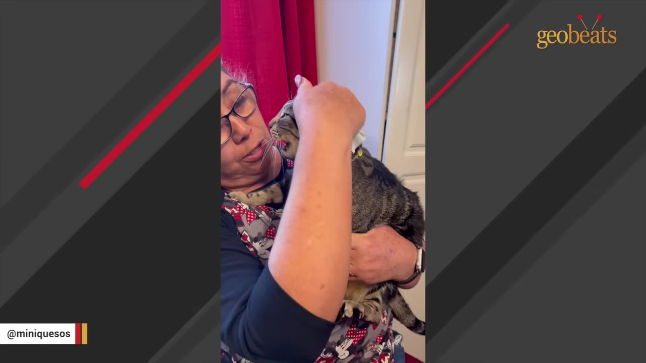A woman wearing glasses holds a tabby cat close to her face as the cat affectionately licks her chin.