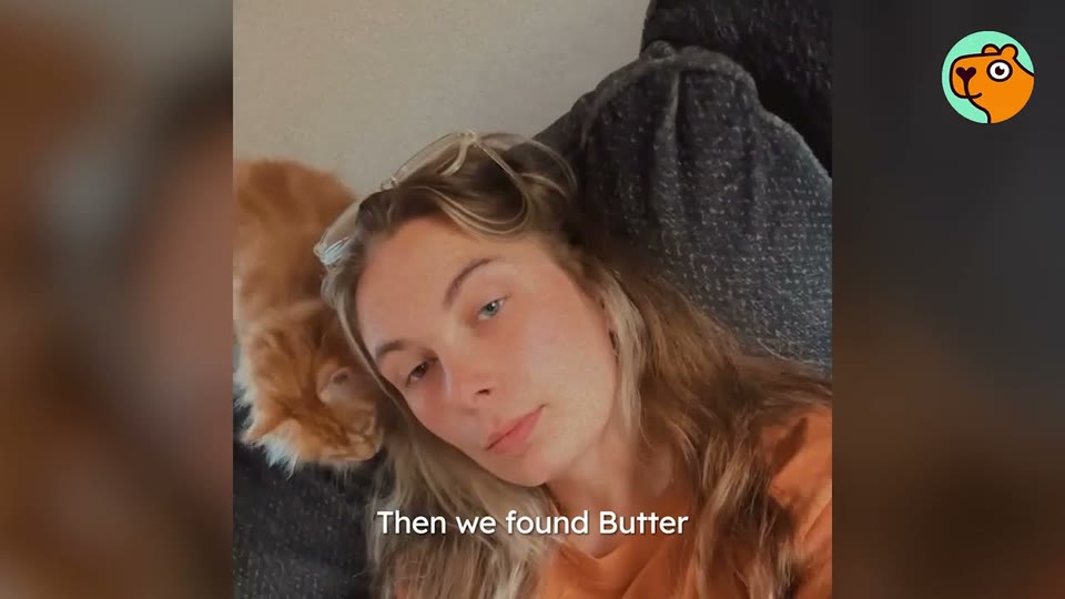 Video frame for The Dog of the Cat World