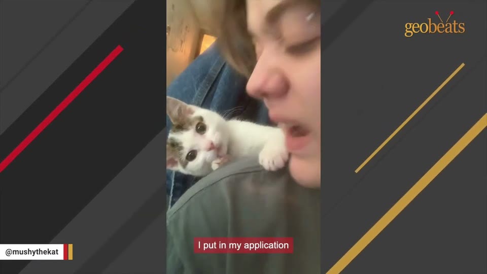 Video frame for The Overlooked Runt