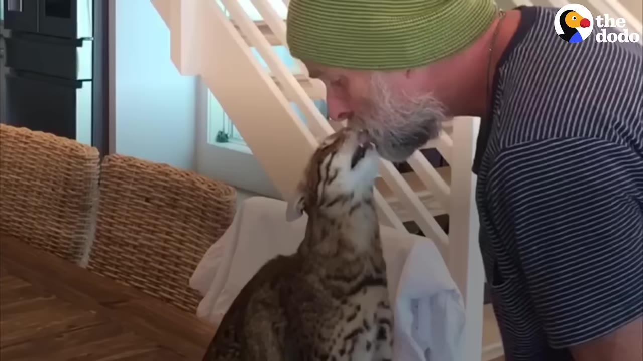 A man wearing a green beanie kisses a spotted cat on the mouth as it stretches up towards him.