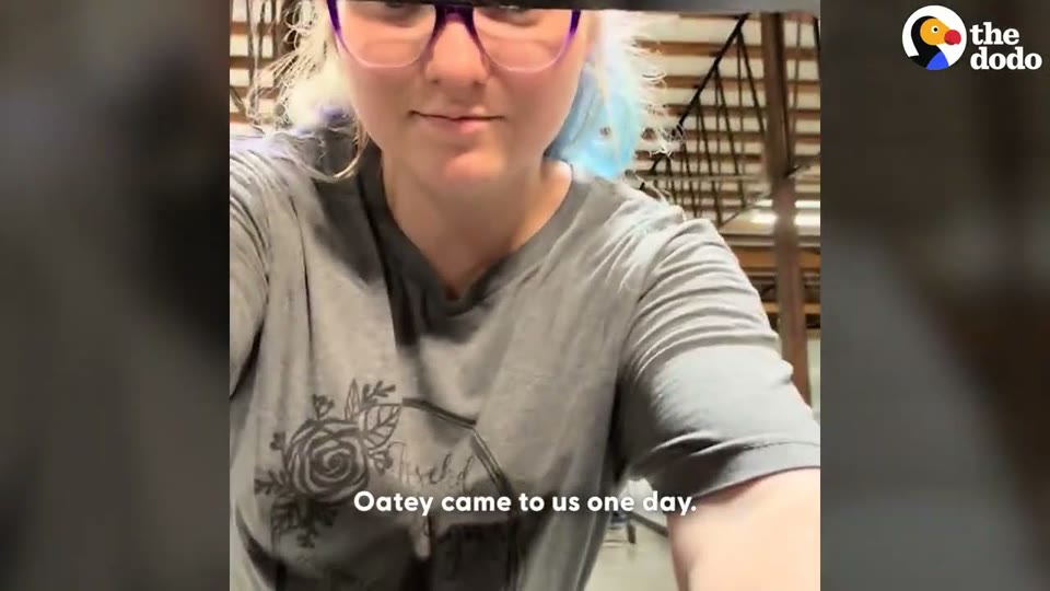 Video frame for The Store's Little Inspector