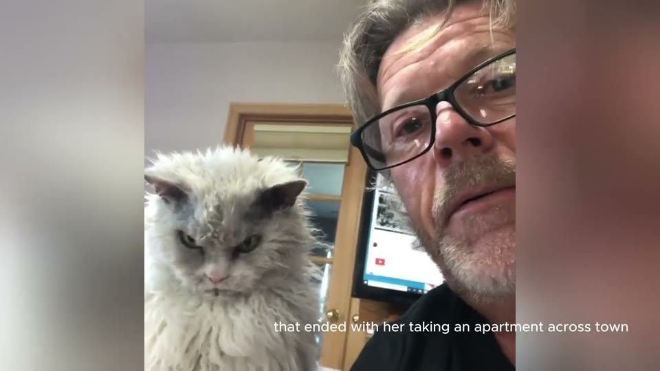 Video frame for The Unadoptable Glare