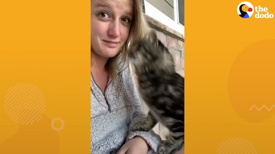 Video frame for Trying To Sneak Inside