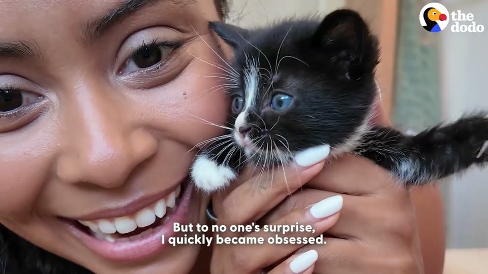 Video frame for Winning Over A Dog Person