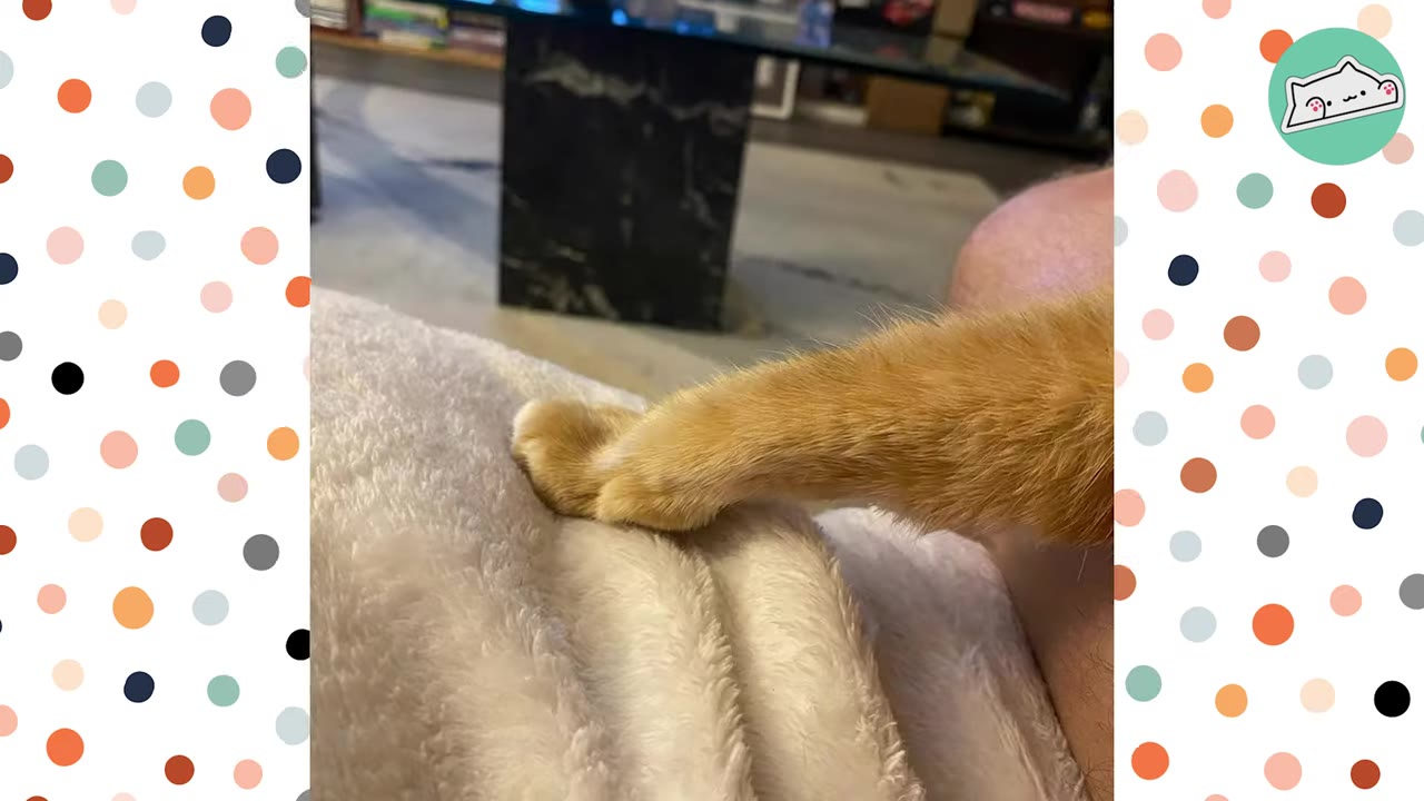 A close-up shot of an orange cat's paw resting gently on a soft white blanket.